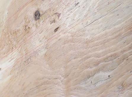 00.1 cdx plywood.JPG