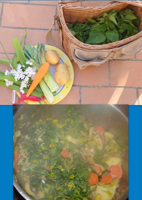 02-outdoor cooking2.jpg