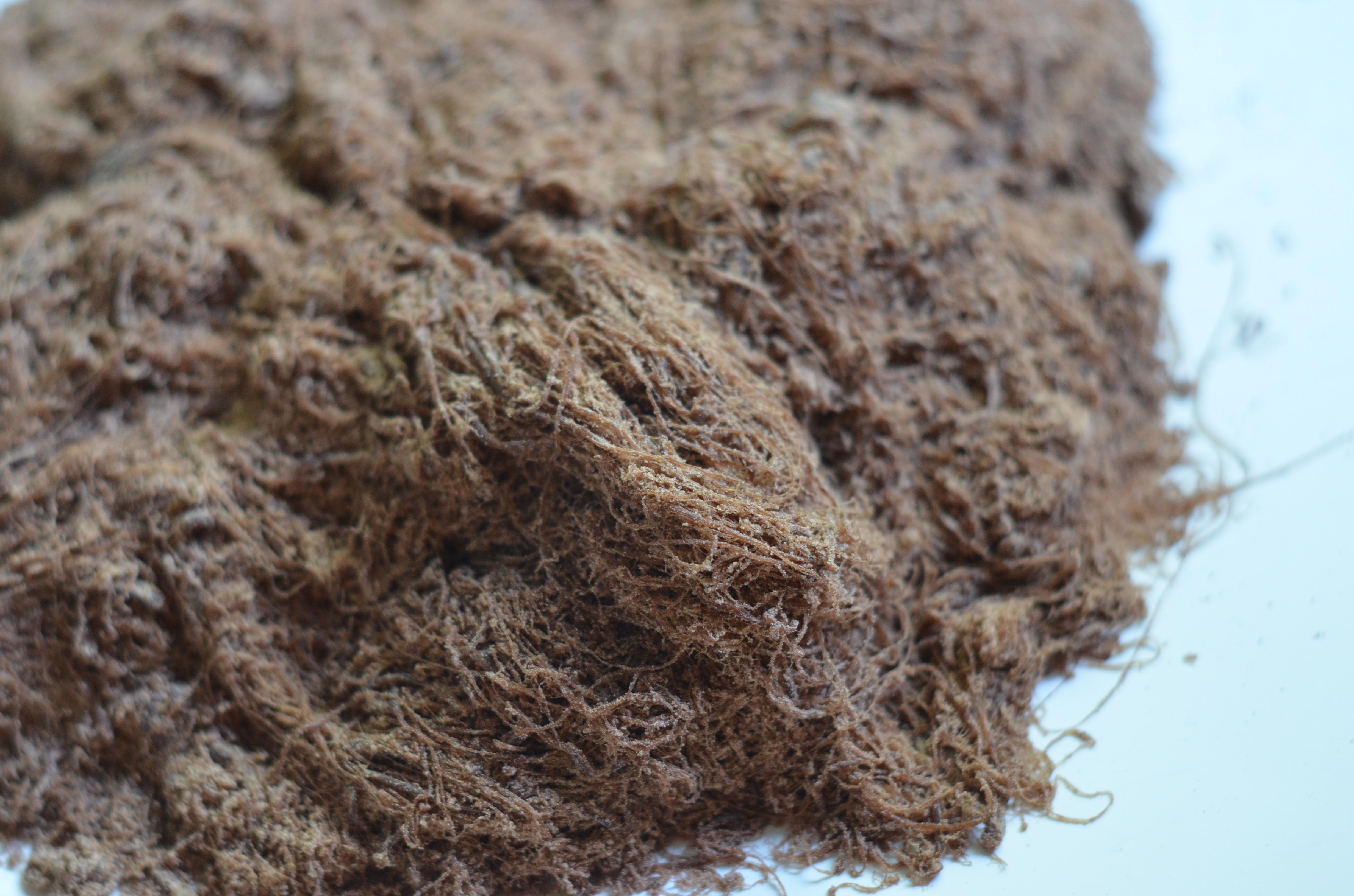 05-Hand-Pulled Cotton Candy.JPG