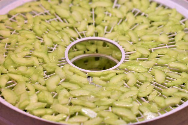 1-10-1 DSC_0848-2 resized.jpg