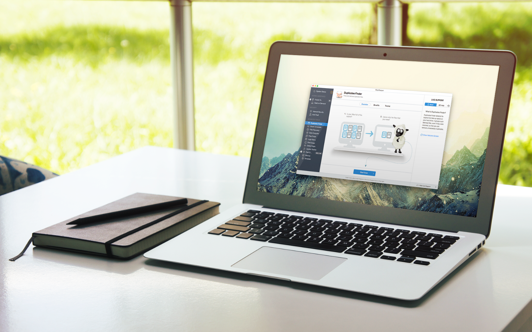 2. Duplicate Finder.png