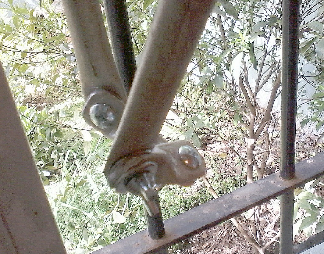 2013-10-30 16.31.35.jpg