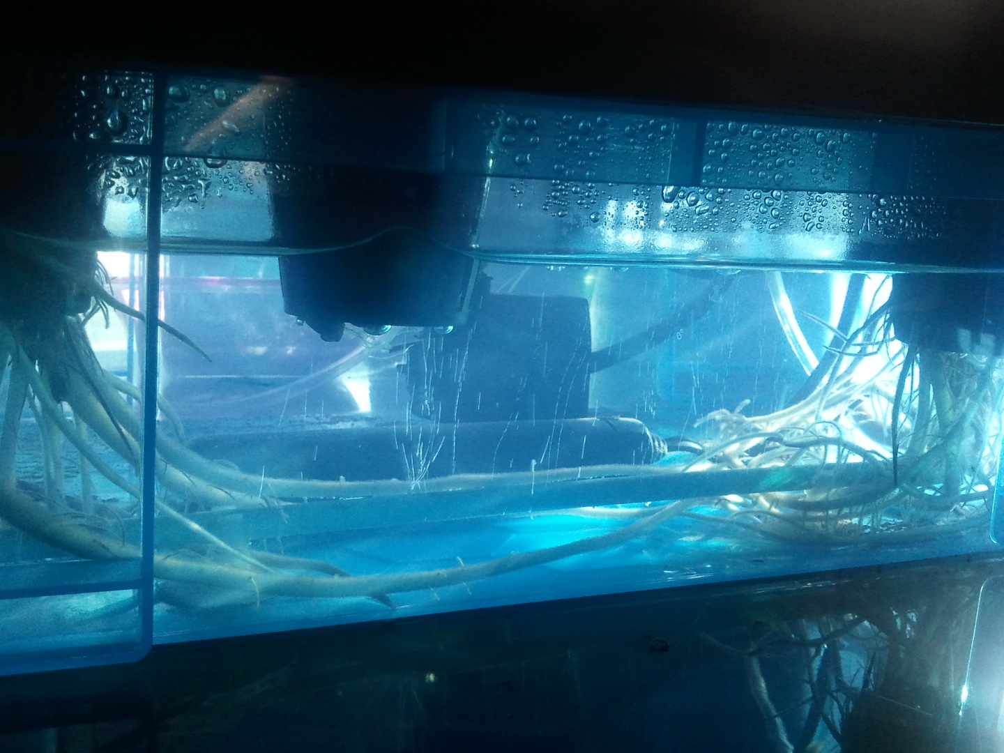 2014-11-10 09.24.12 copy.jpg