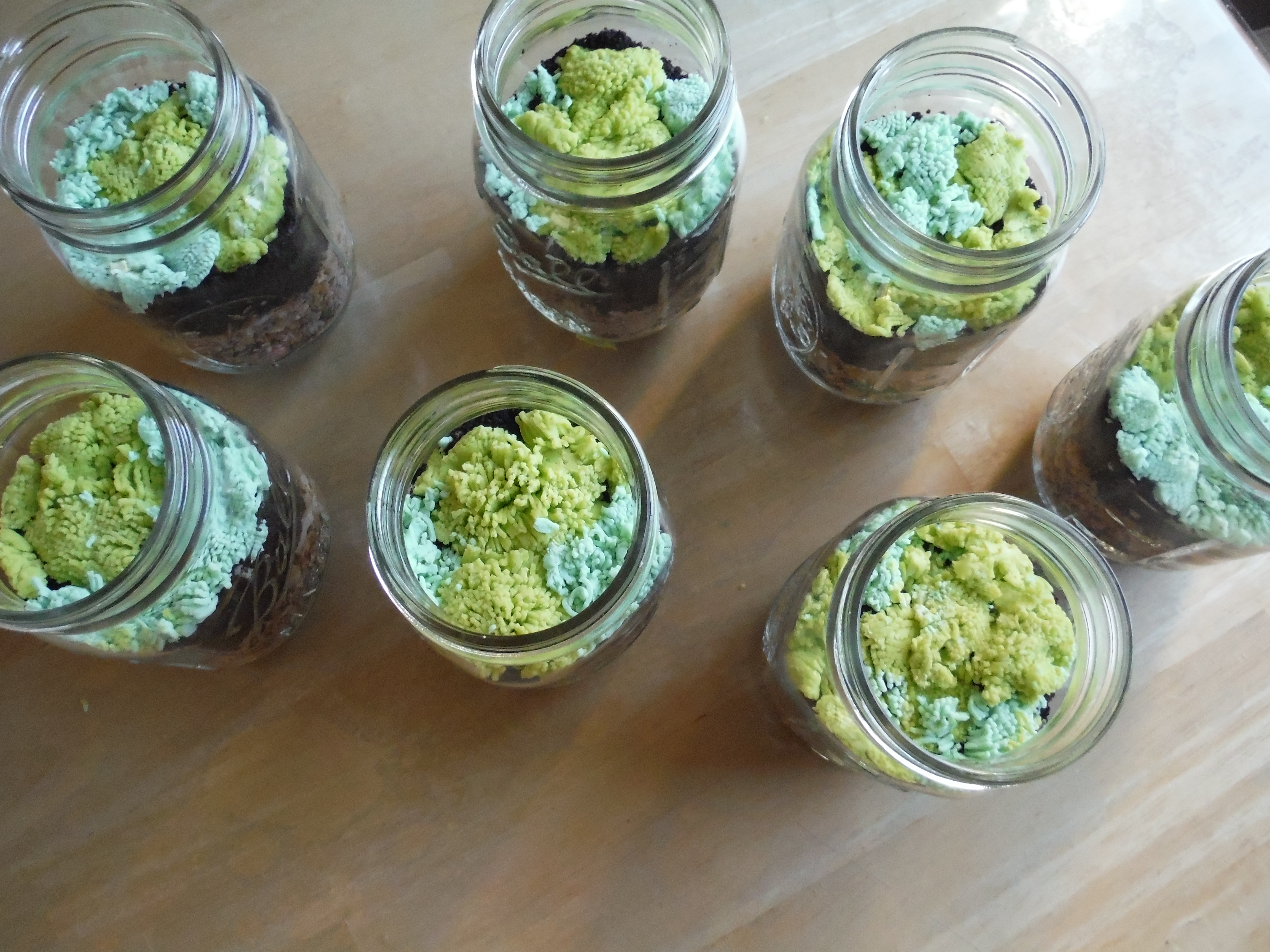 2014-12-11 13.47.14.jpg