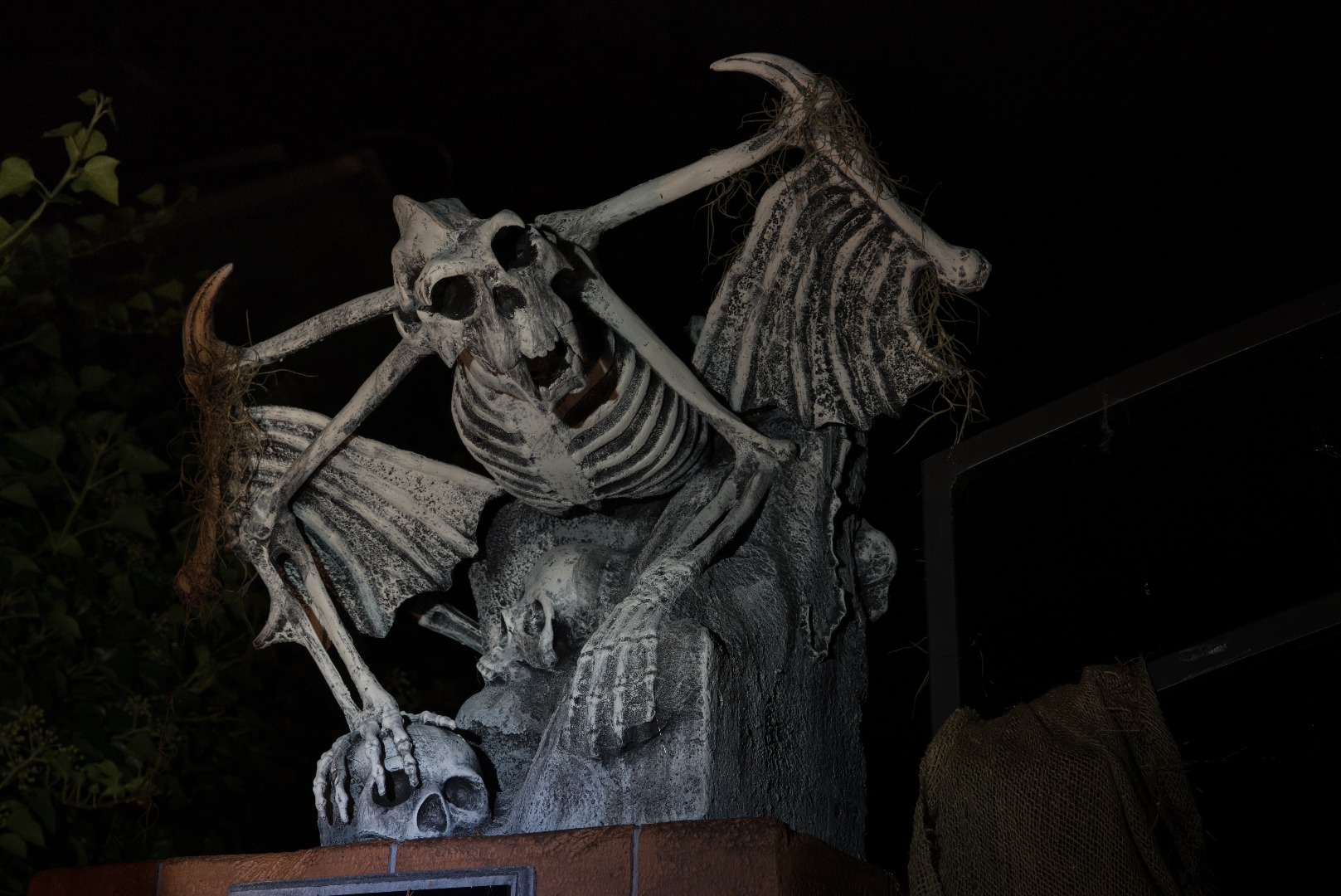 2015 Davis Graveyard Night-8709.jpg