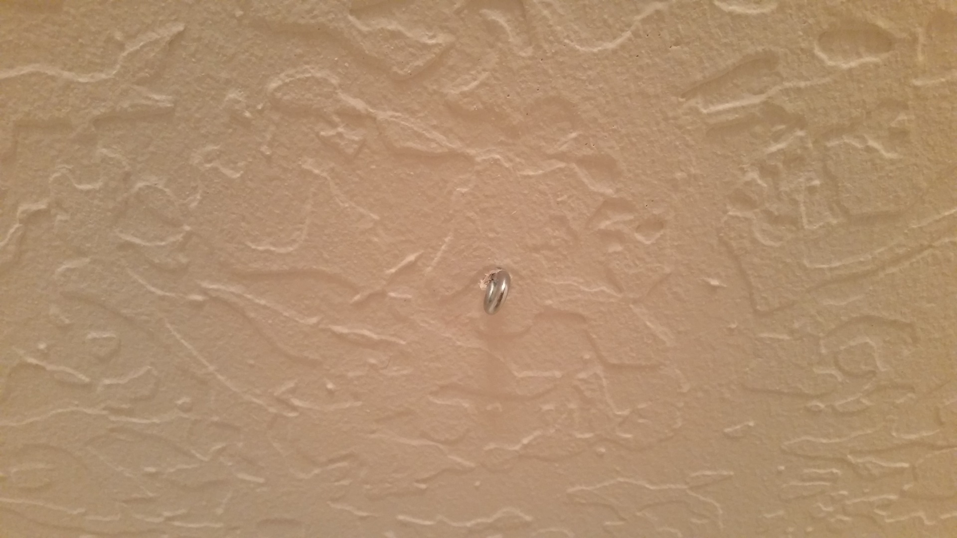 2015-04-13 13.59.10.jpg