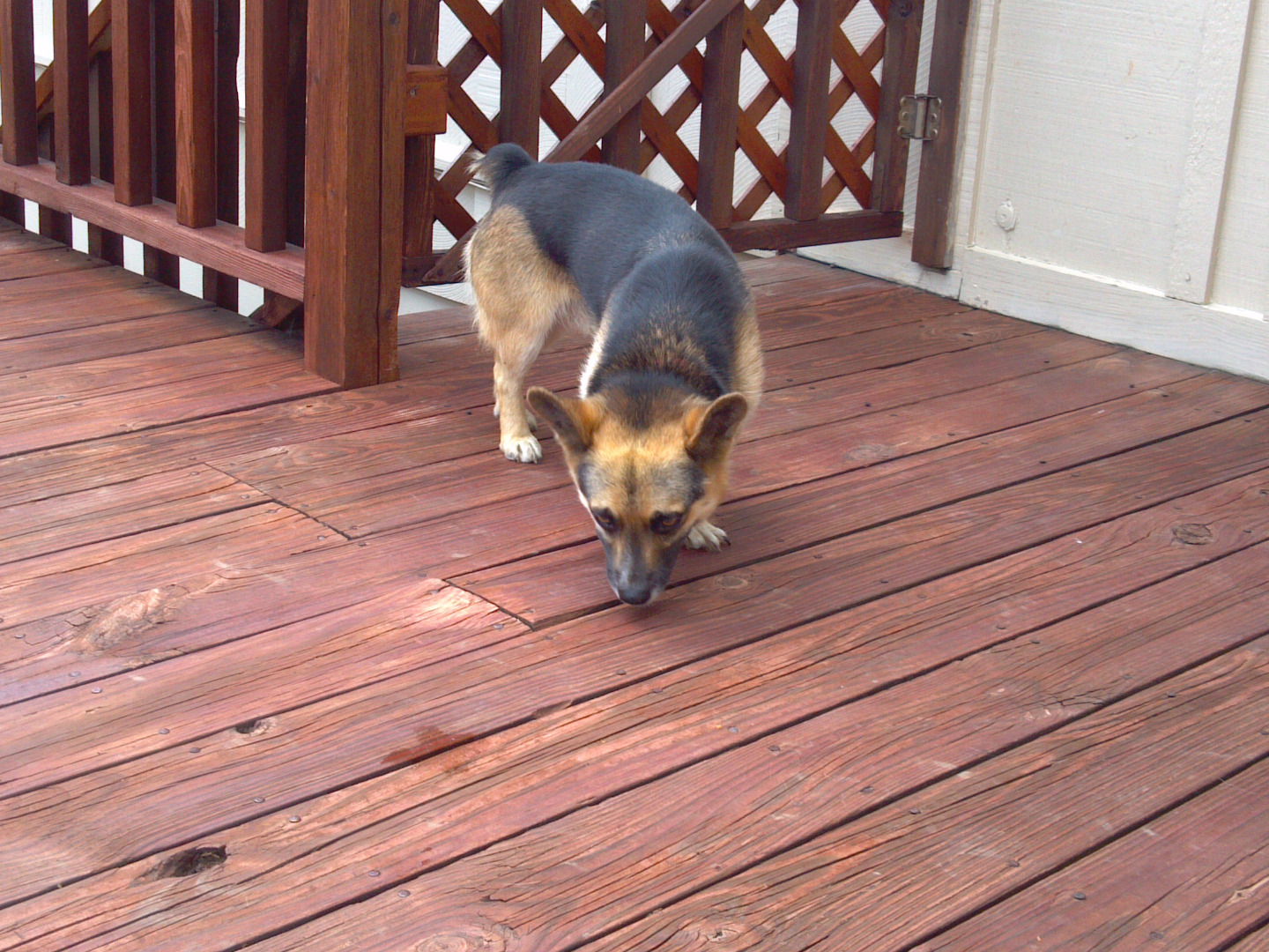 2015-08-07 13.43.49.jpg