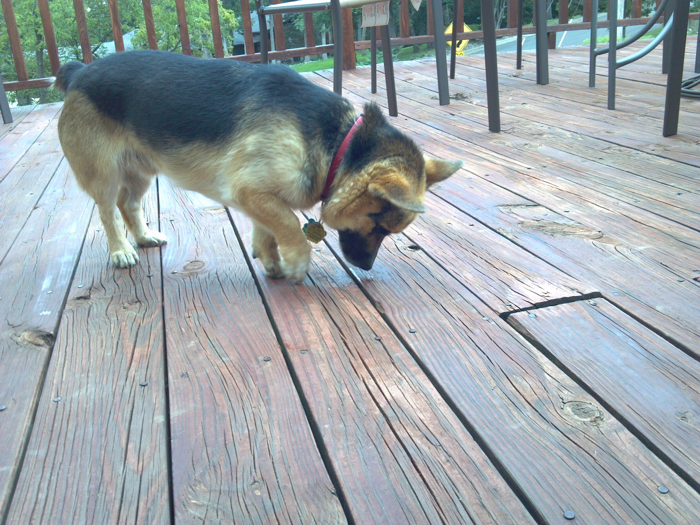 2015-08-07 13.44.42.jpg