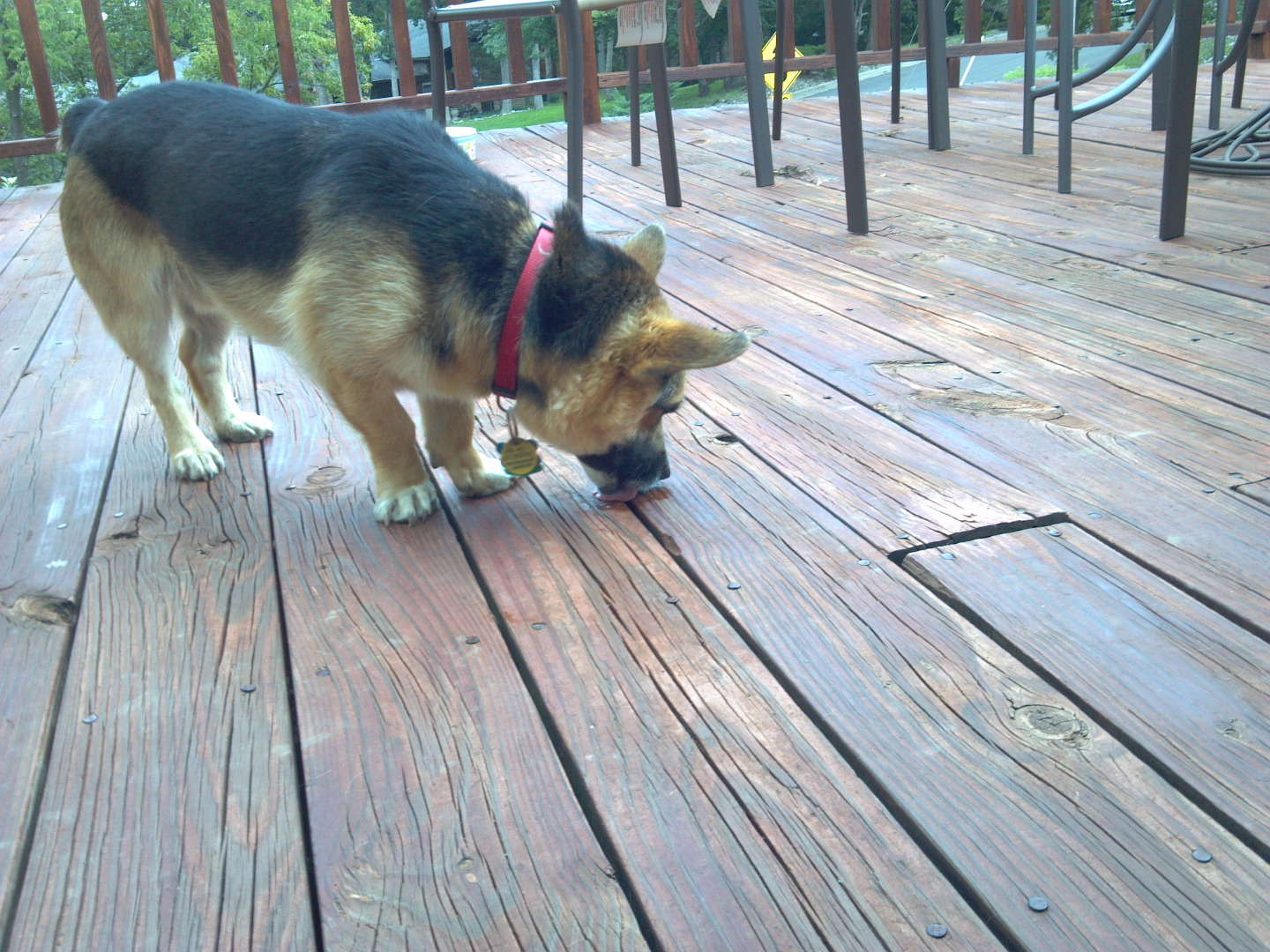 2015-08-07 13.44.45.jpg