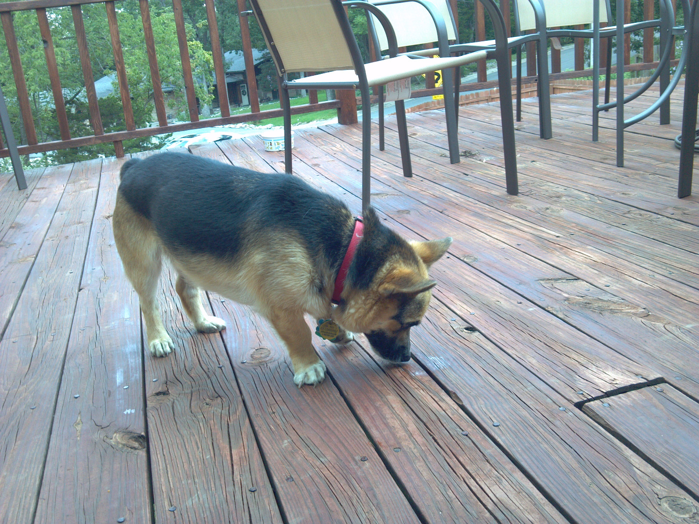 2015-08-07 13.44.49.jpg