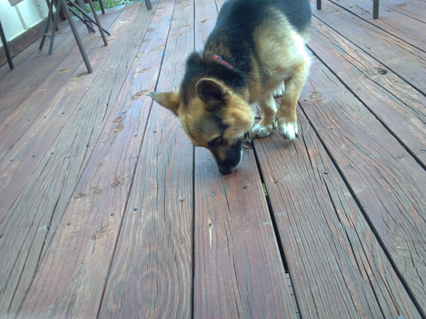 2015-08-07 13.44.52.jpg