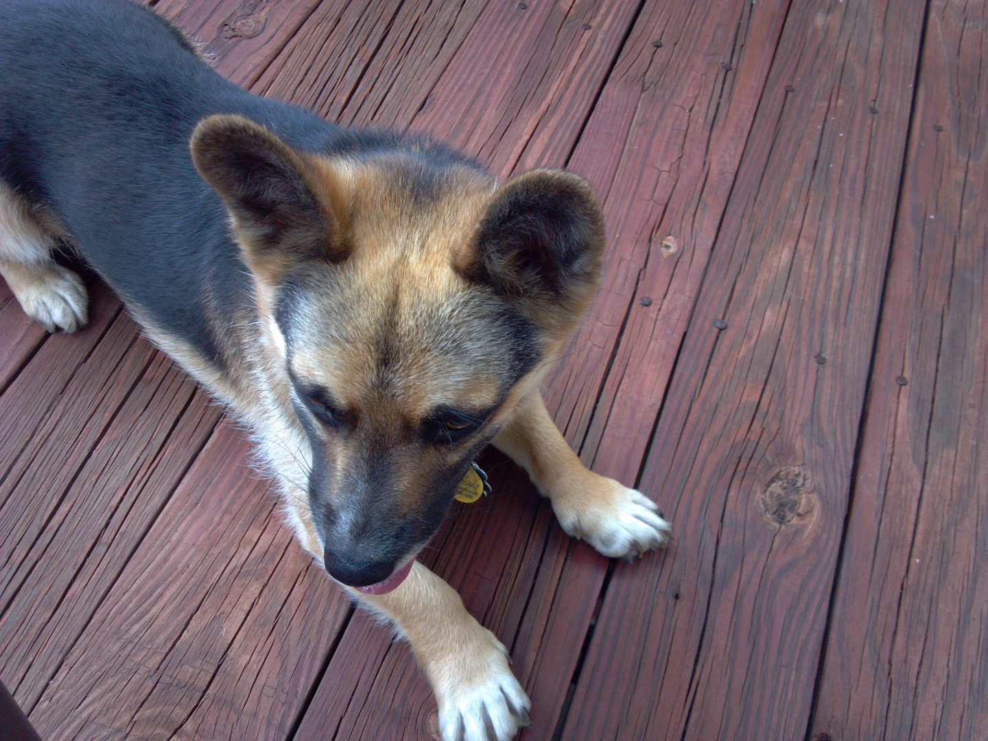 2015-08-07 13.45.11.jpg