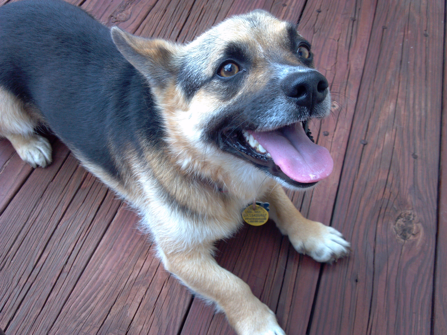 2015-08-07 13.45.15.jpg