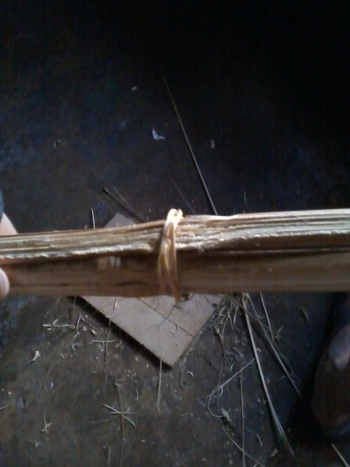 2016-10-06 10.10.17.jpg