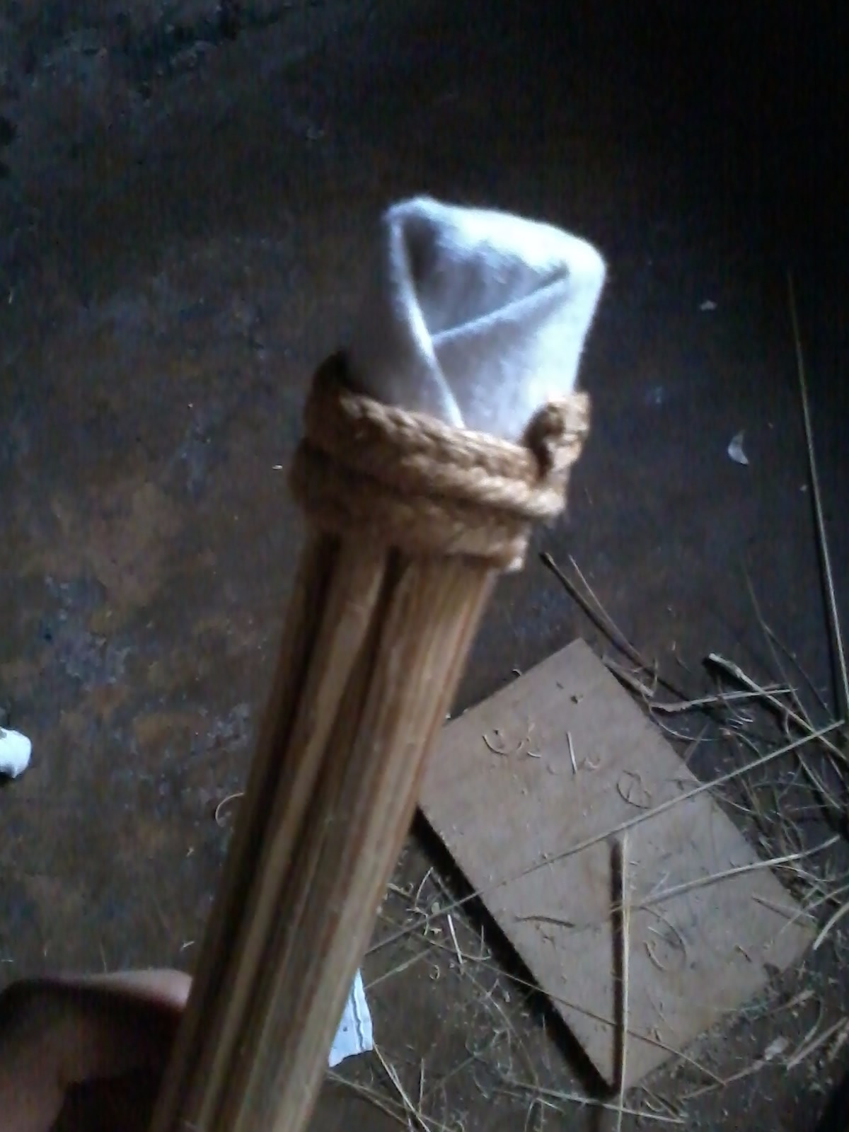 2016-10-06 10.36.14.jpg