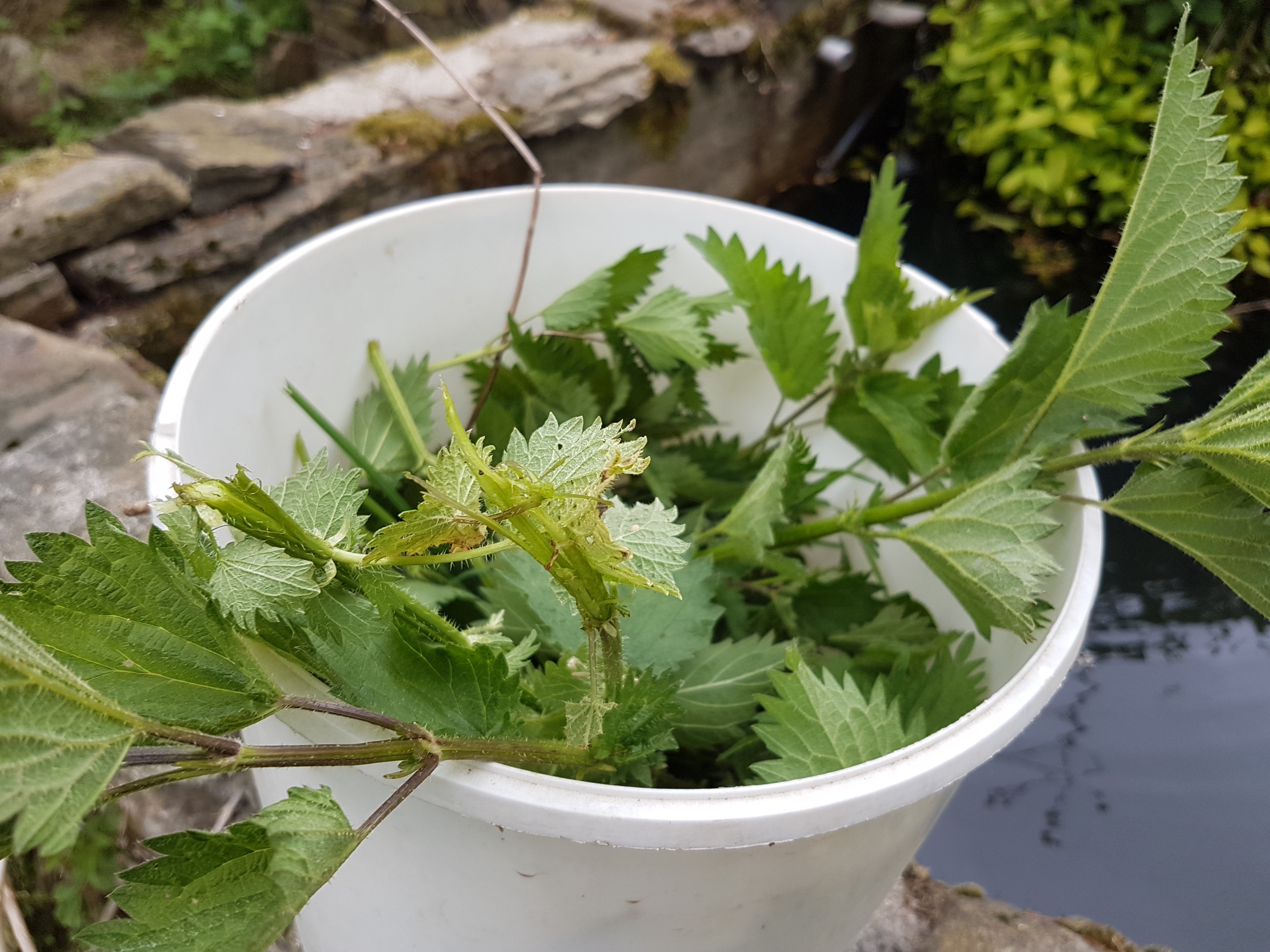 2017-04-15 16.46.24.jpg