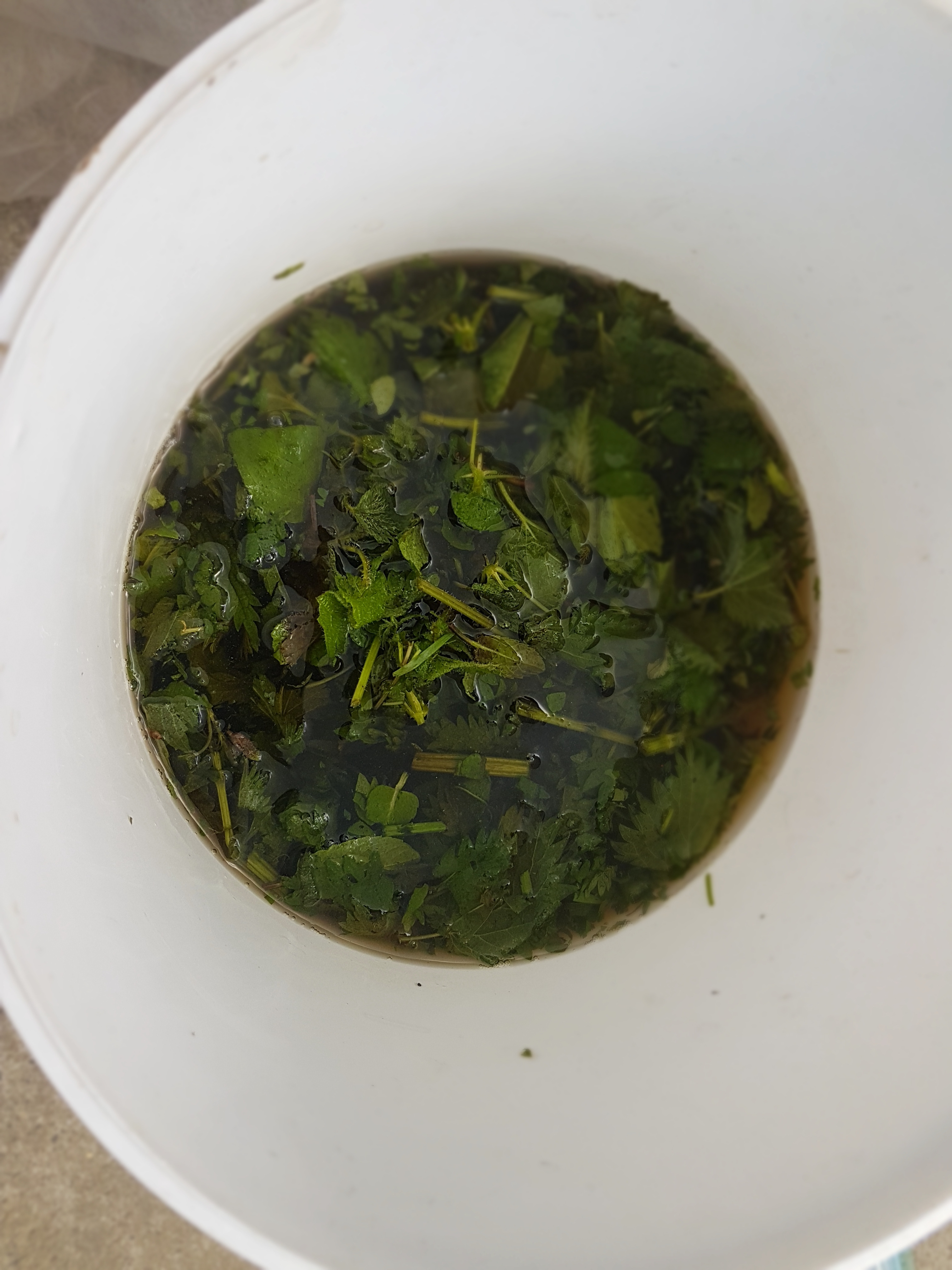 2017-04-16 16.35.20.jpg