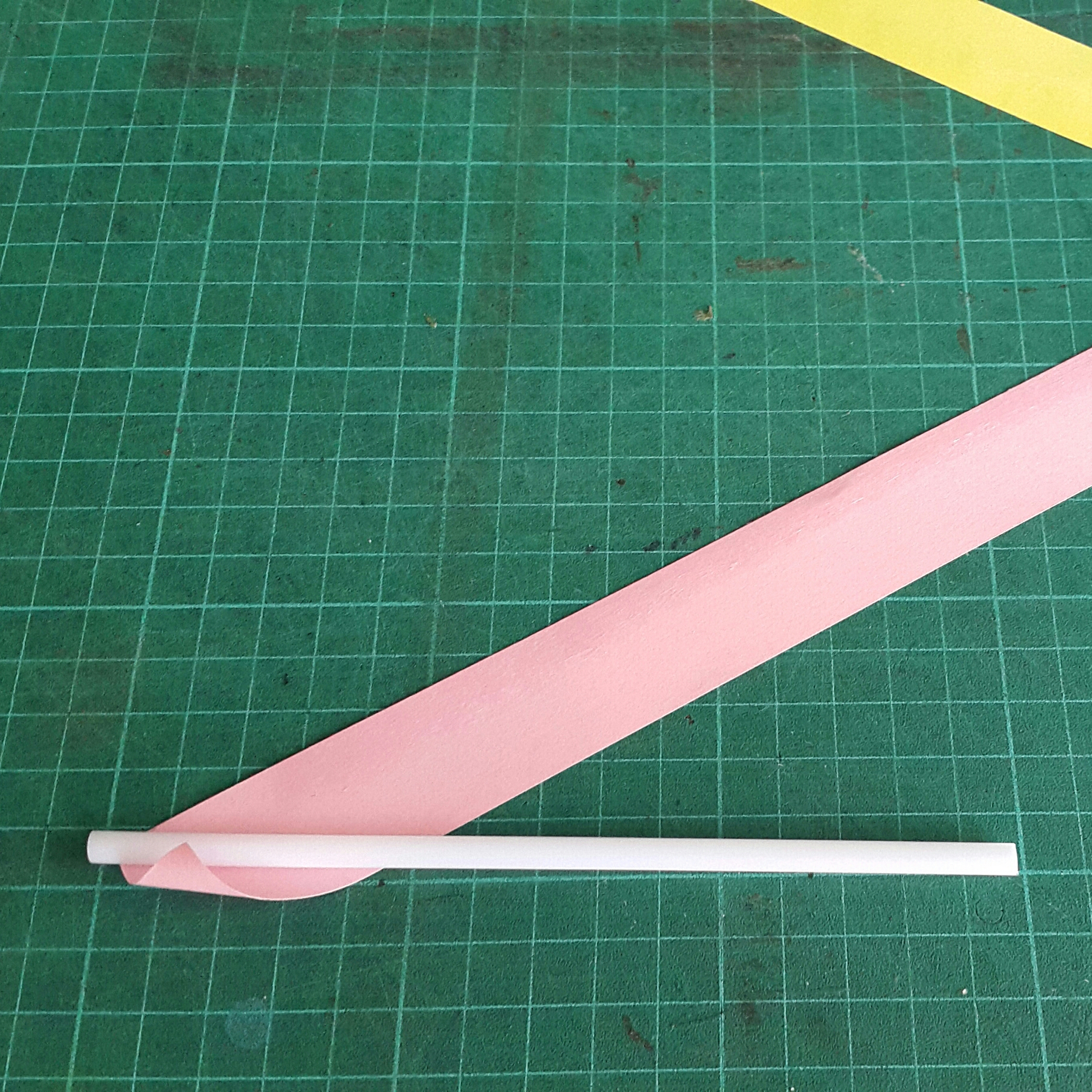 2018-07-28 10.47.48.jpg