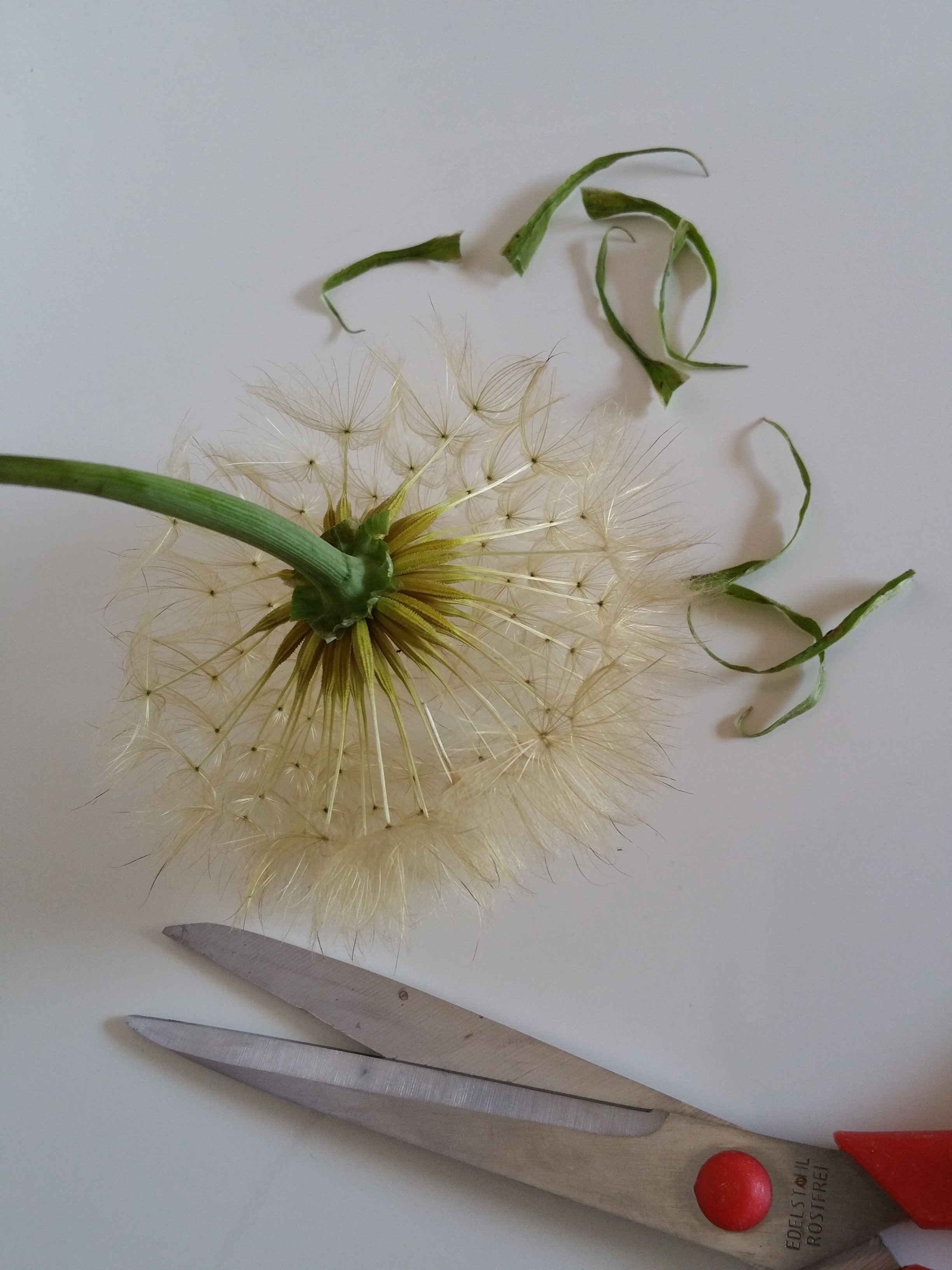 2019-06-02 16.44.31.jpg