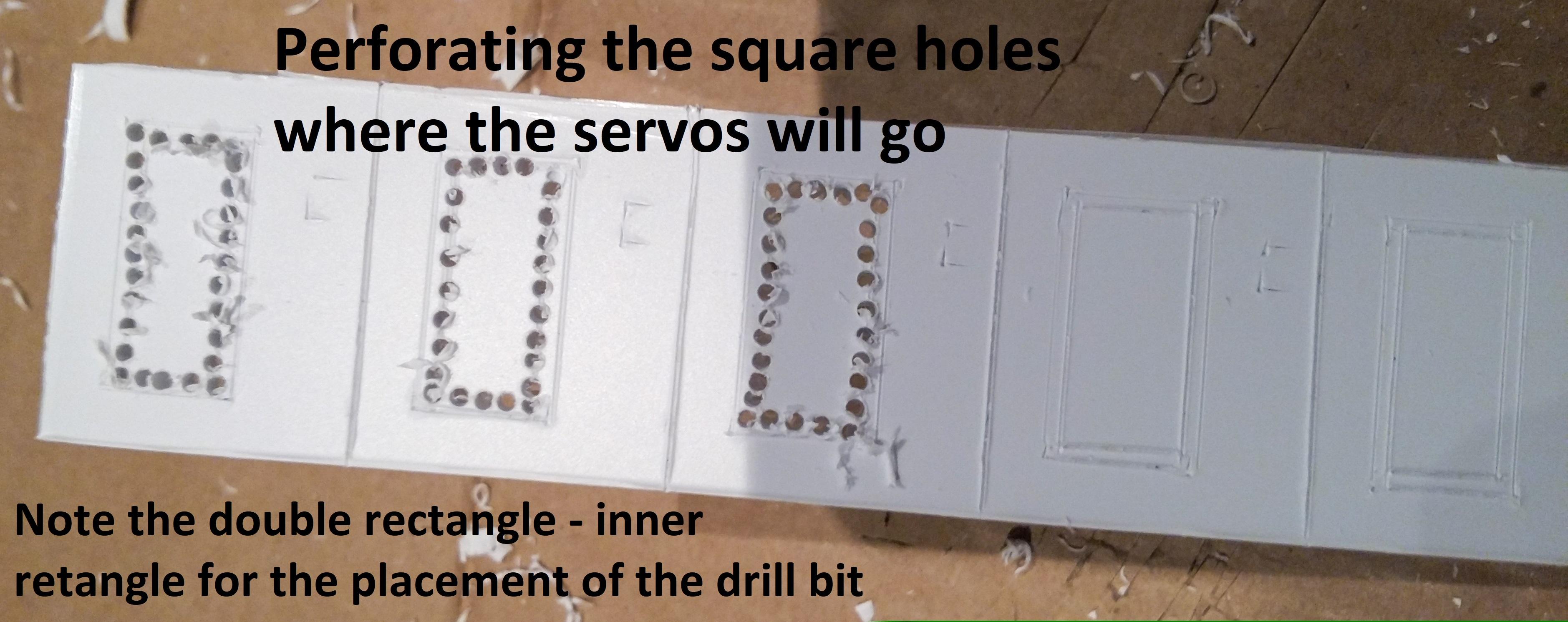 20190224_062943 labelled.jpg