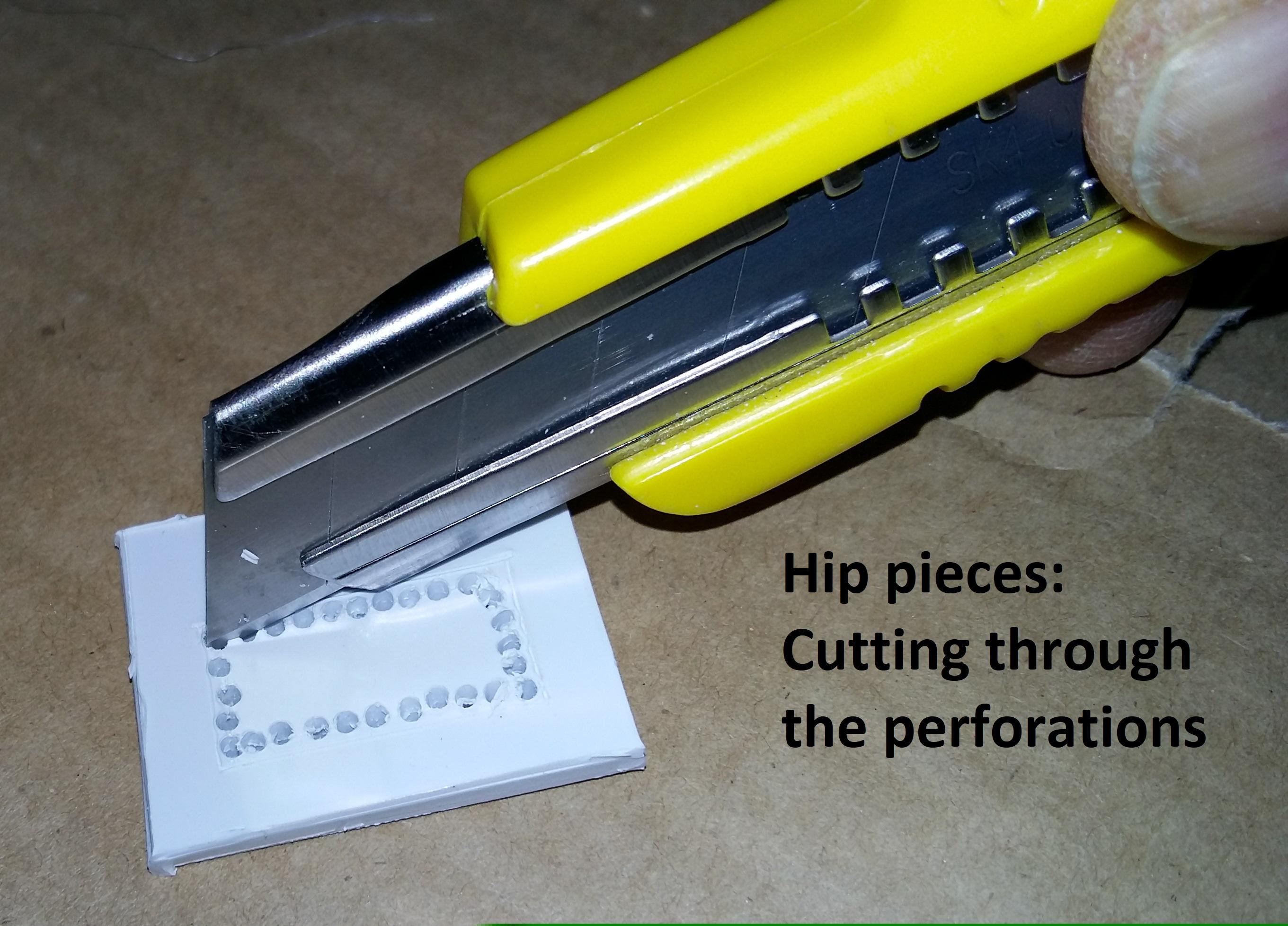 20190309_151834 labelled.jpg