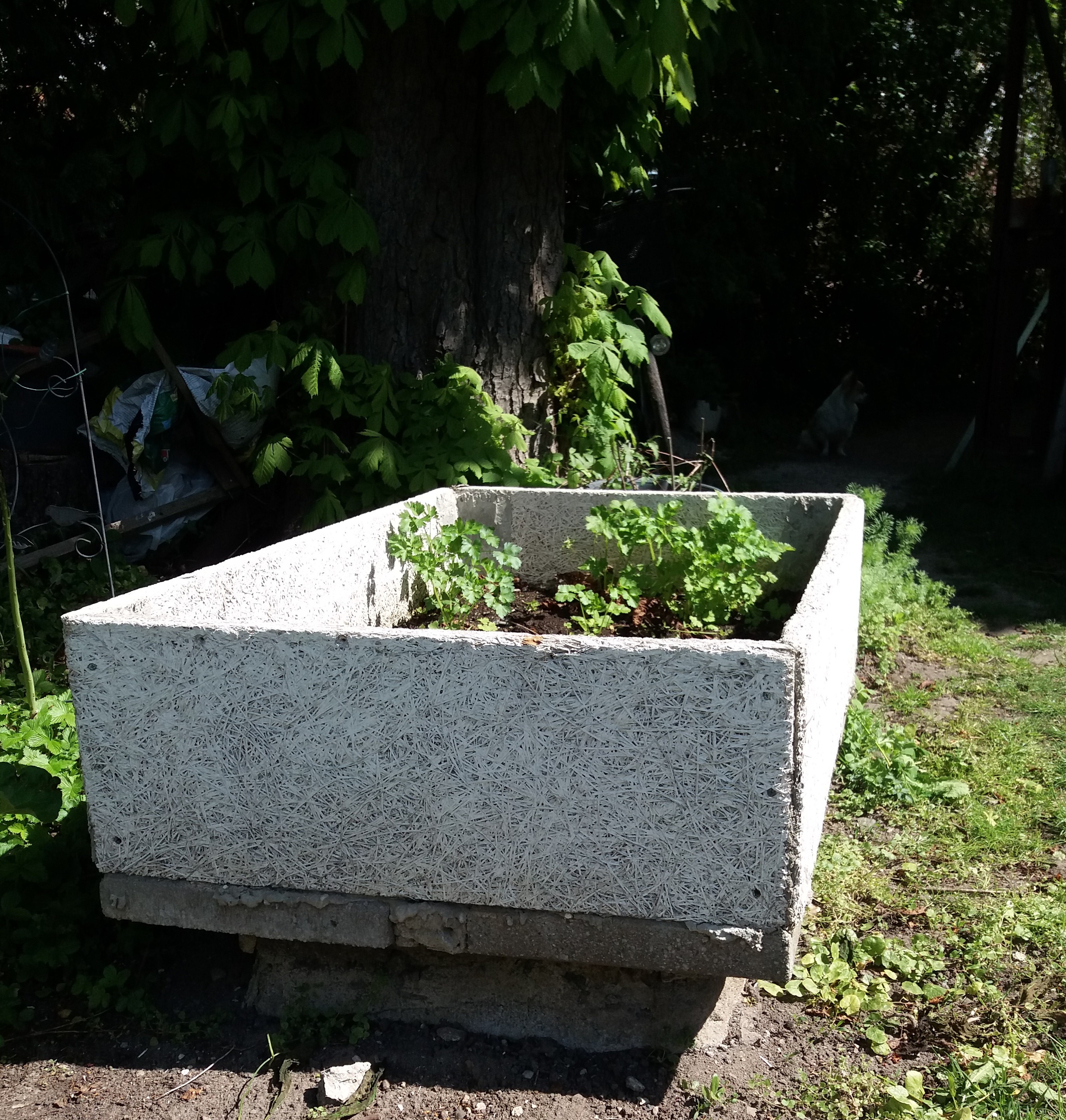 20190506_133210 (2).jpg