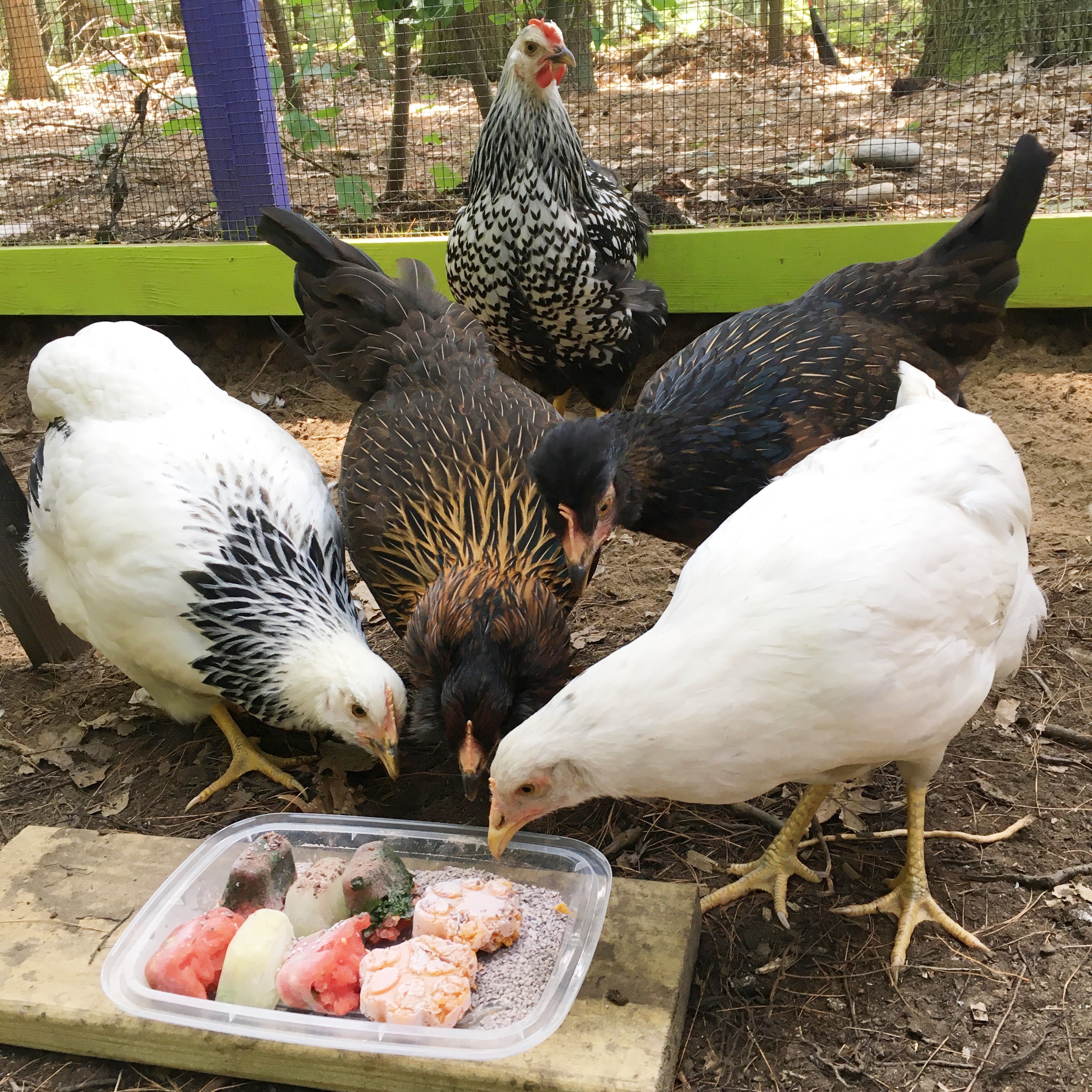 2020-07-11 13.21.42.jpg