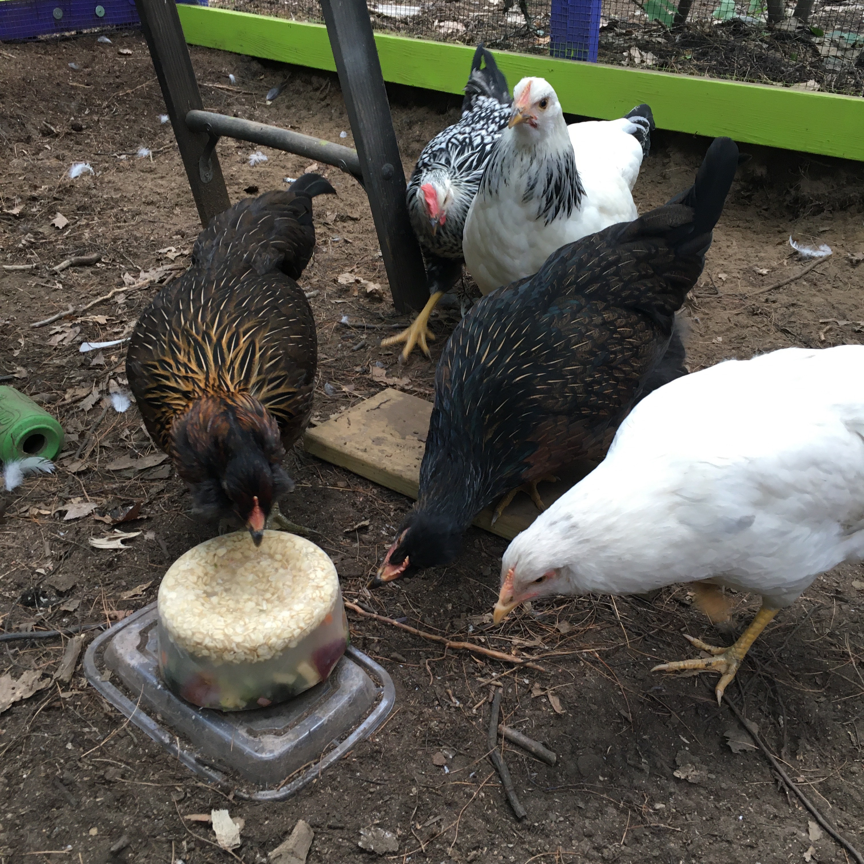 2020-07-12 11.39.04.jpg