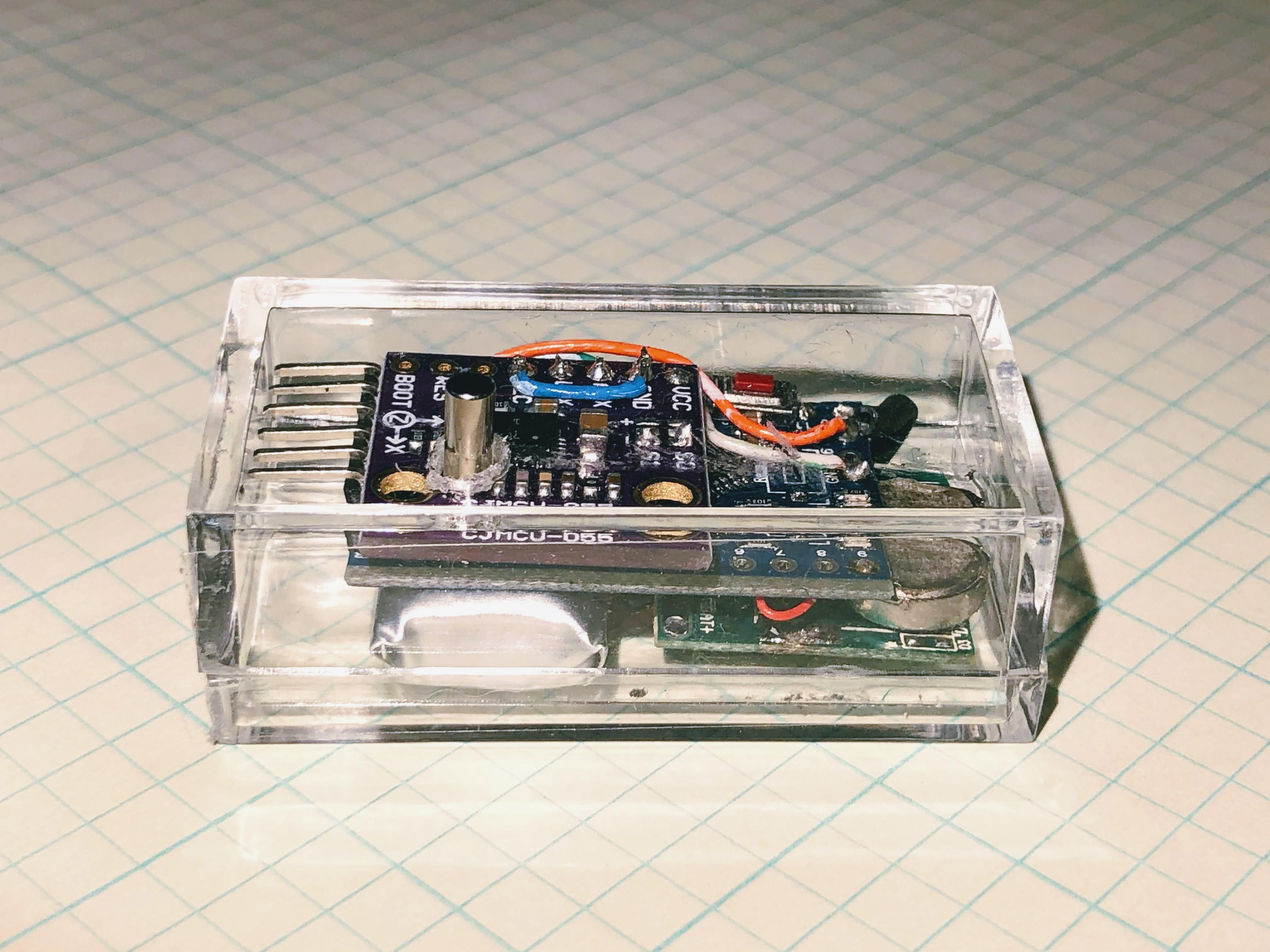 2020-08-11 16.46.25.jpg