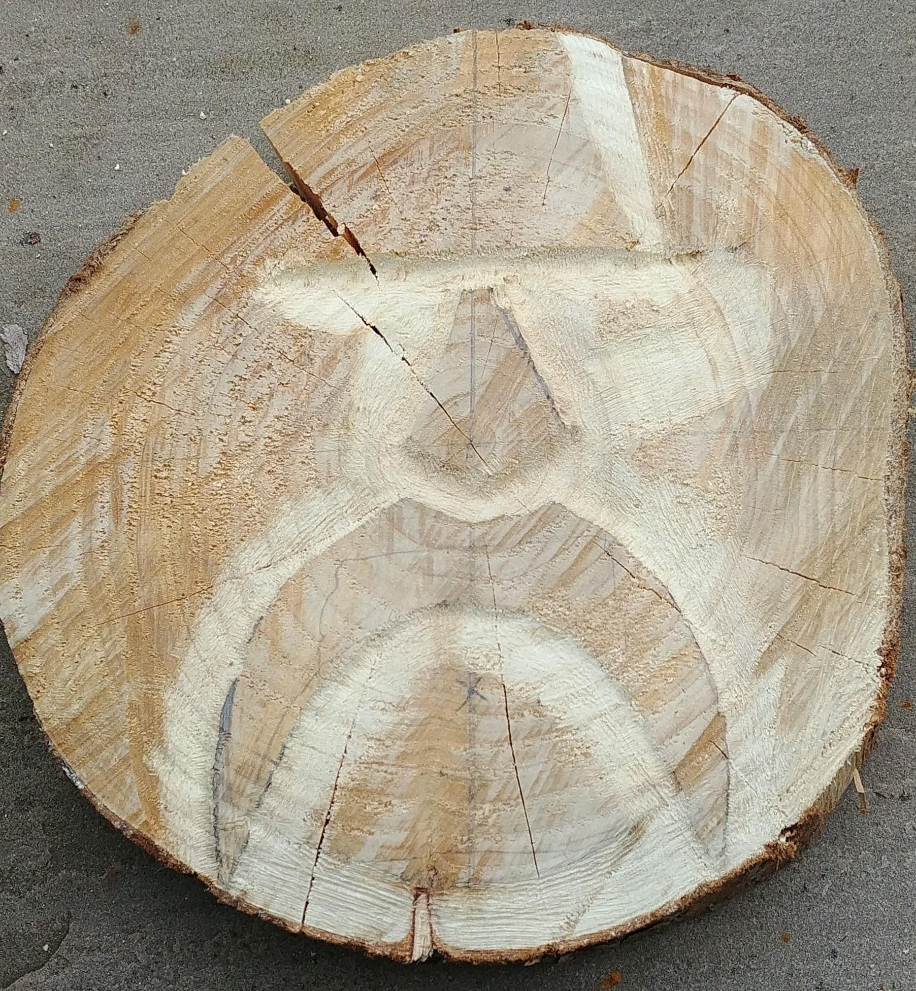 20210522_110019 (2).jpg