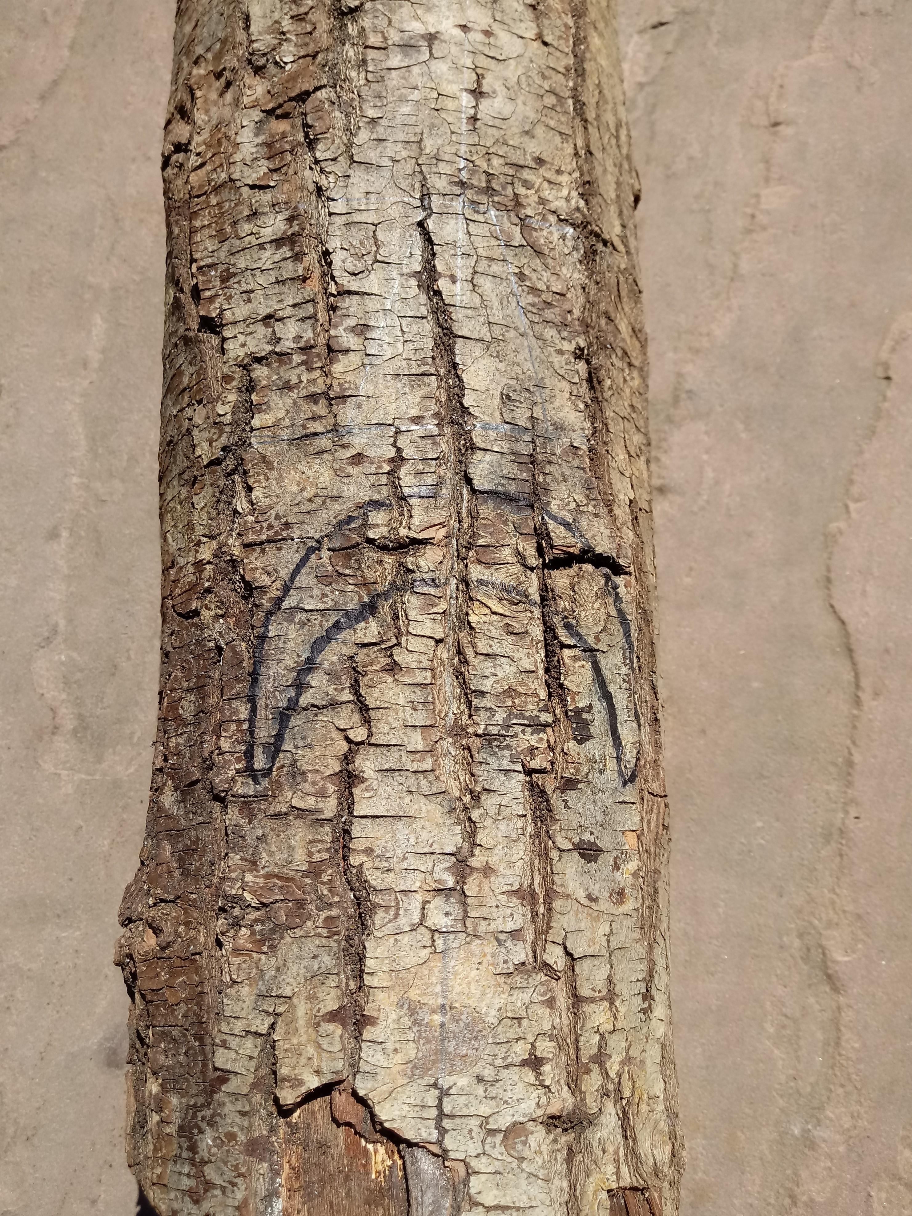 20210601_145324 (2).jpg