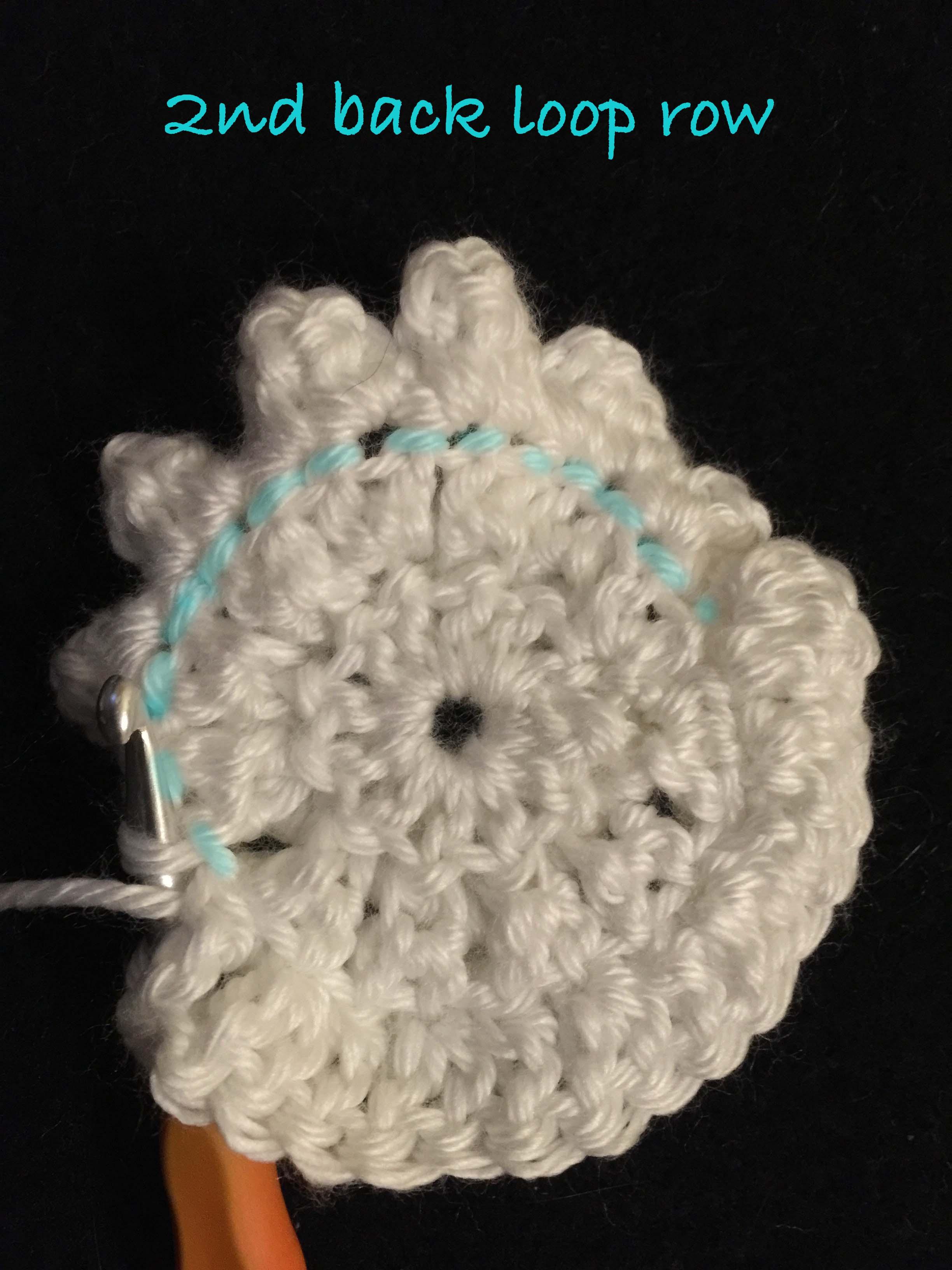 2nd back loop row.jpg