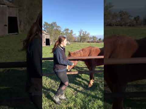 402610ED 8619 4106 B851 1A1D52F8594F