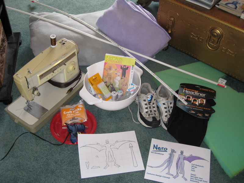 Aerodactyl Step 02.jpg