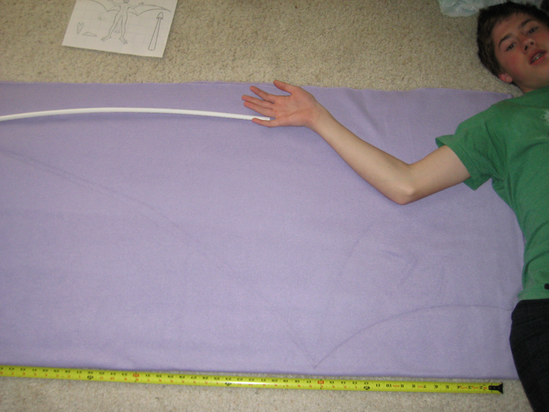 Aerodactyl Step 07.jpg