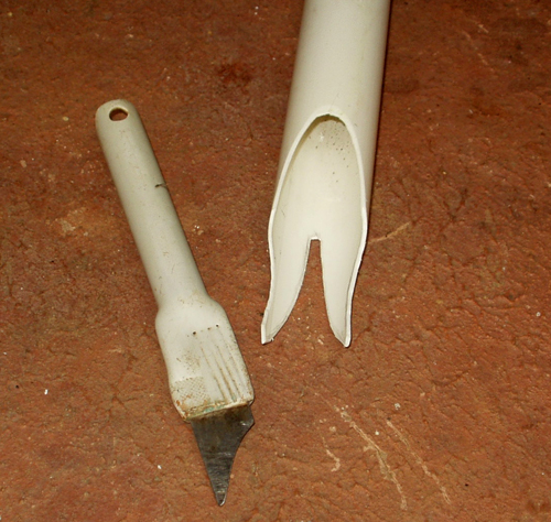 BERRY PICKER (2).jpg