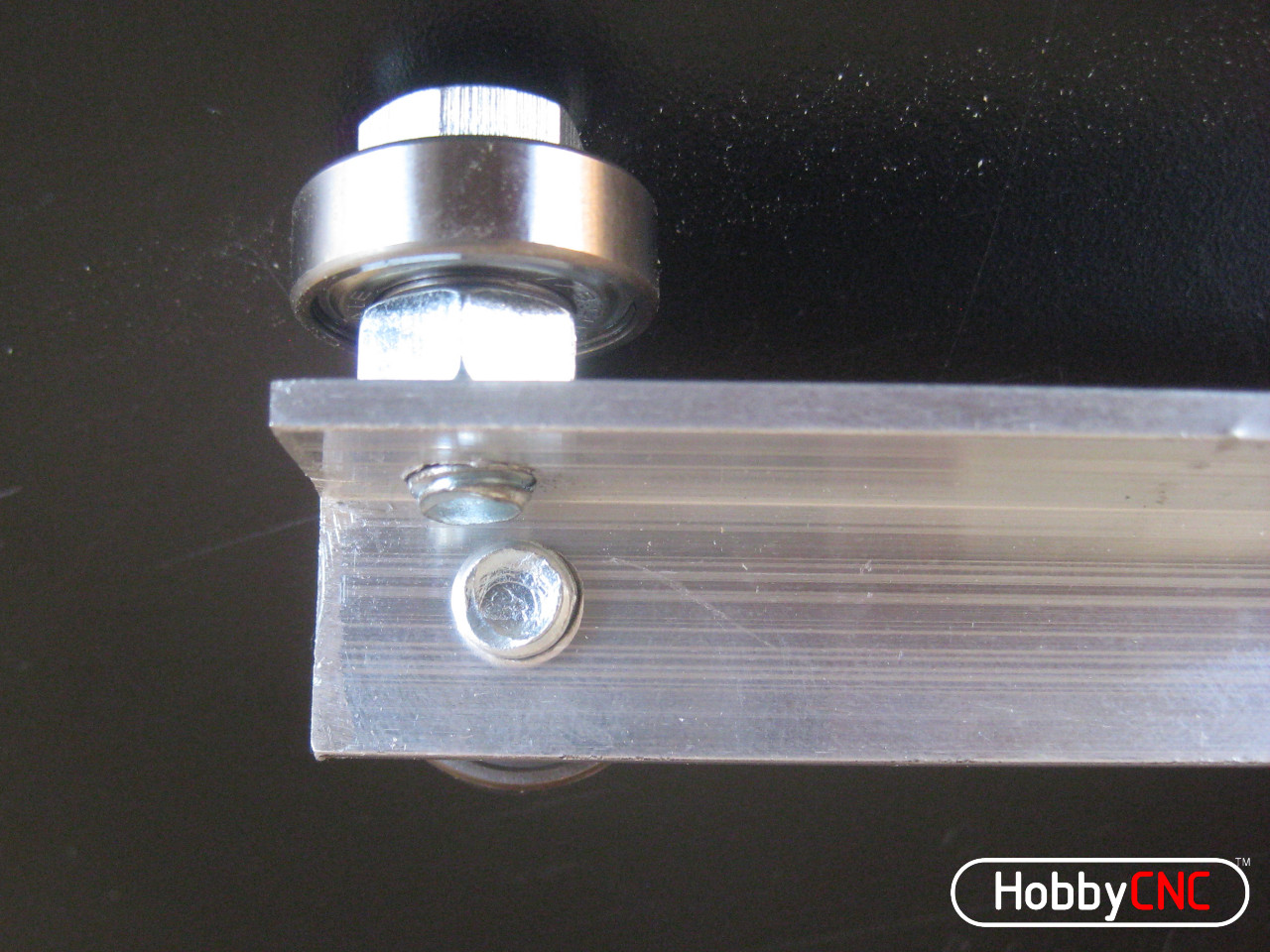 Bearing Back Close-up.jpg