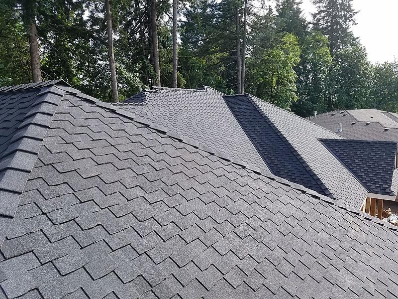 Best Roofing Company Toronto.jpg