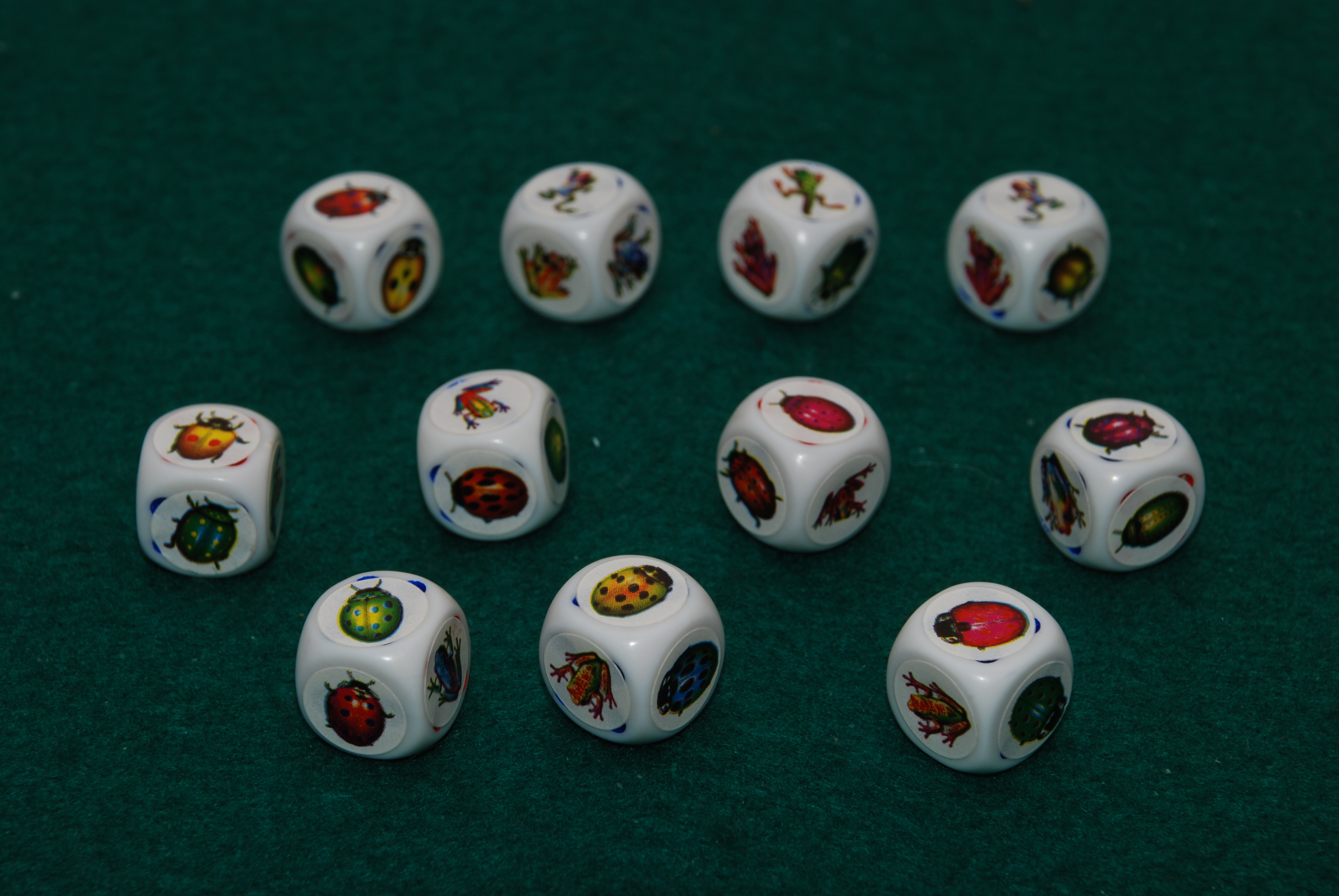 Bichos Detalle 2.JPG