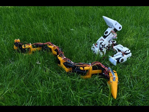 Bioinspired Robotic Snake (3D printed)