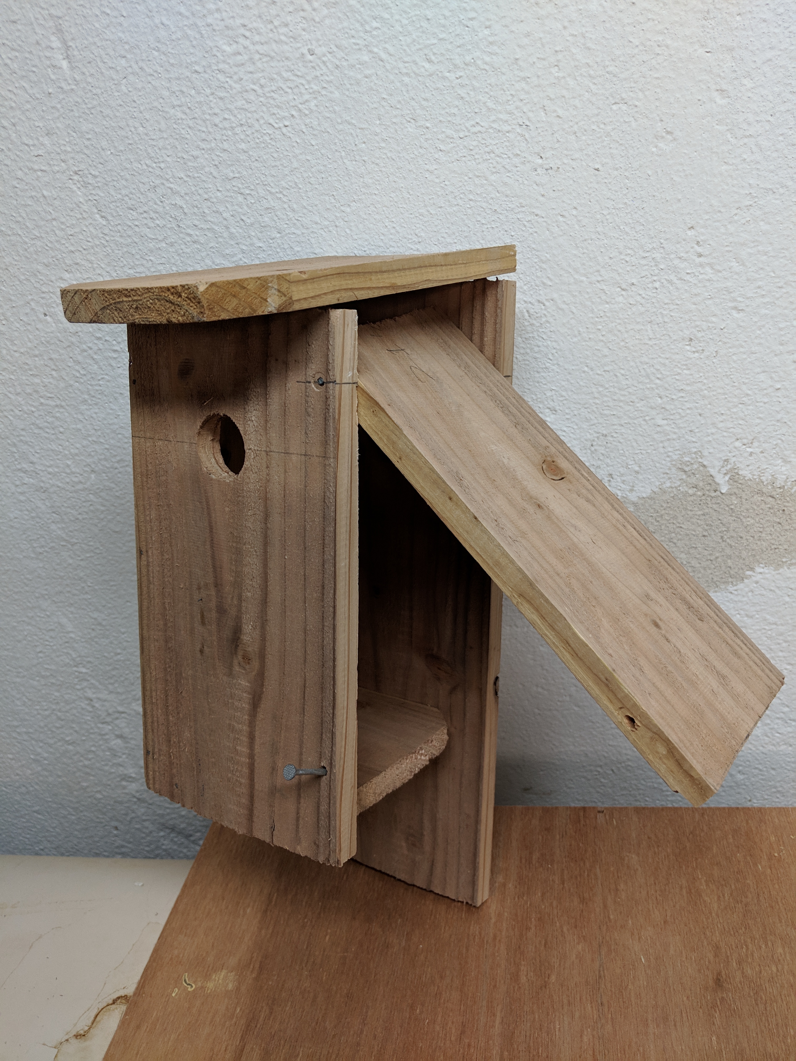 Birdhouse_Open.jpg