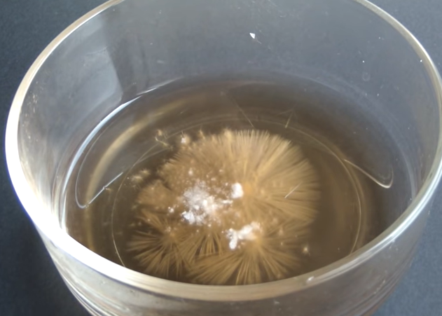 Captura de pantalla (162).png