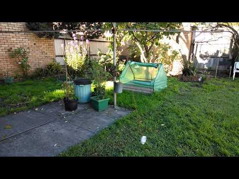 Cheap Drone - 6 V - Video 3