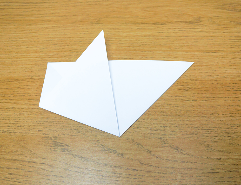 Chinese Lanterns 9.jpg