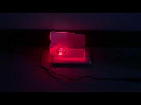 Christmas Light show