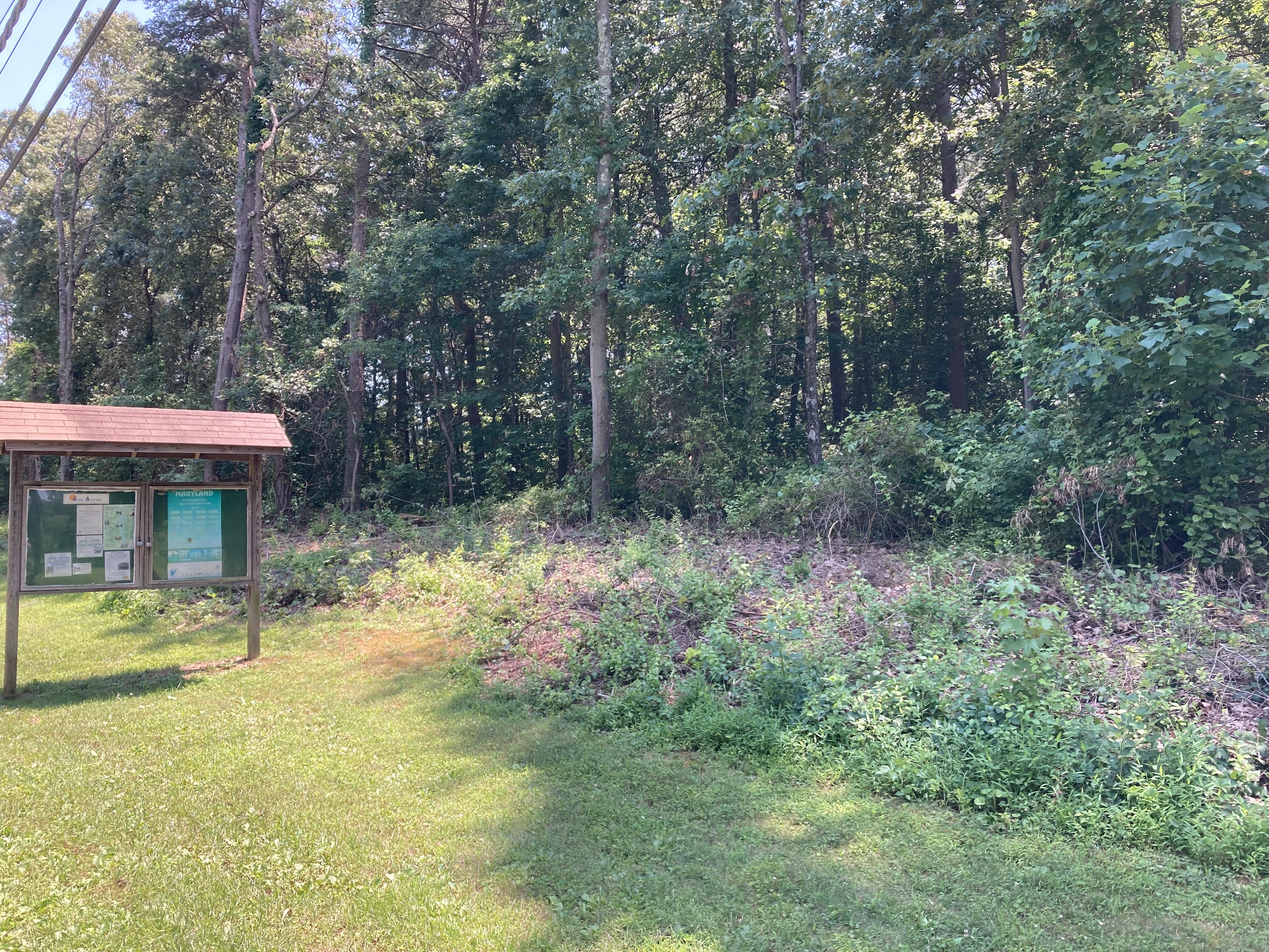 Close Up Of Cleared Area By Bulletin Board.jpg