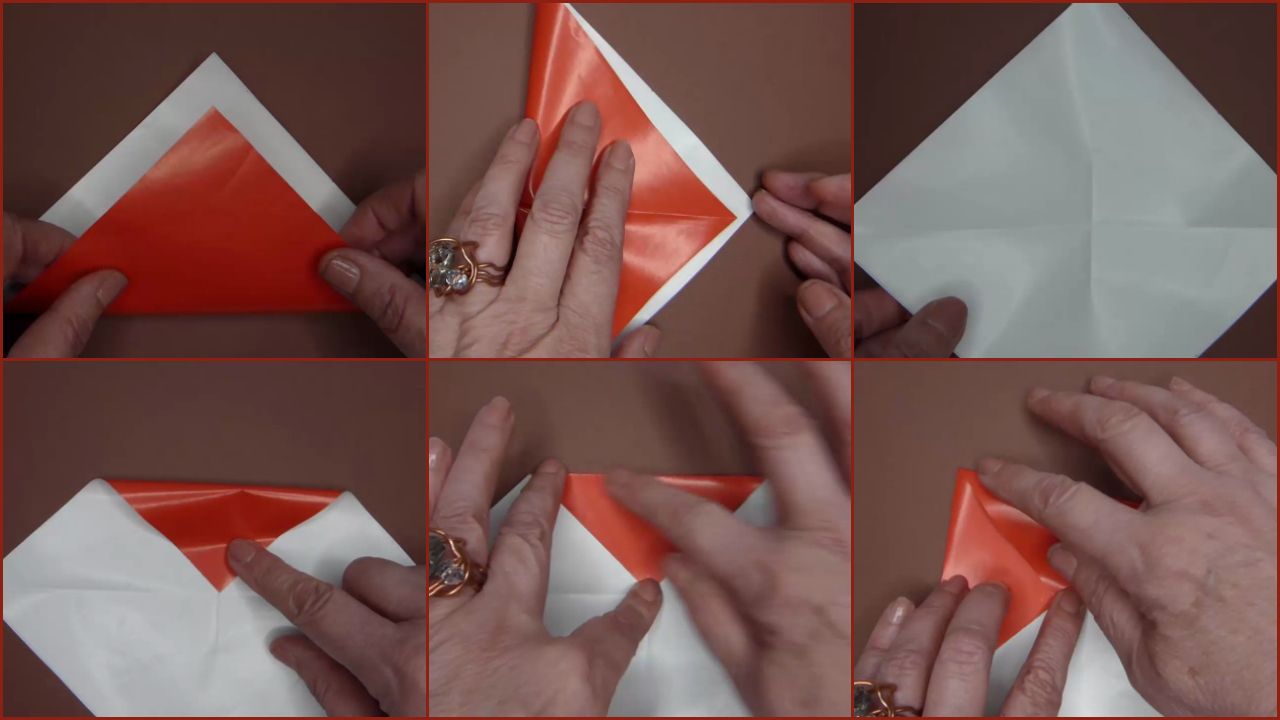 Collage PicMonkey1.jpg