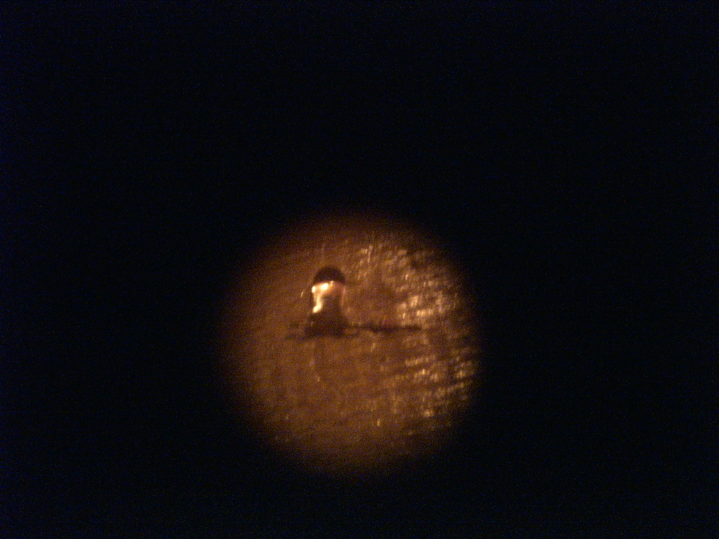 DC LED nightlight_I.JPG