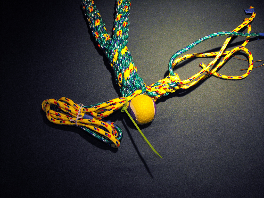 DOG_TOY_TENNIS_BALL_HEAD (100).JPG