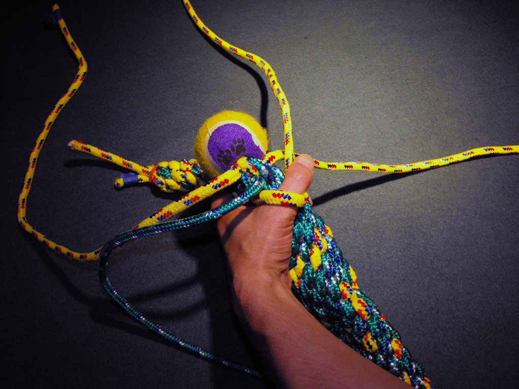 DOG_TOY_TENNIS_BALL_HEAD (104).JPG